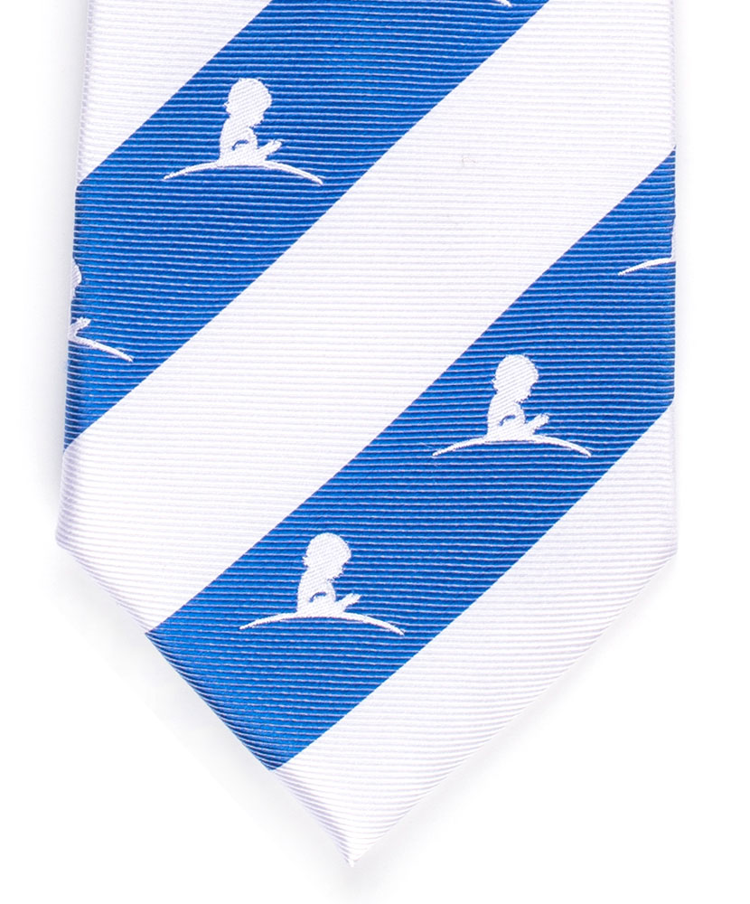 Bold Stripe Regimental Silk Tie - Blue and White